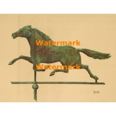 Weathervane  - XBAM300  -  PRINT