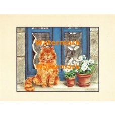 Cat  - XBAN1092  -  PRINT