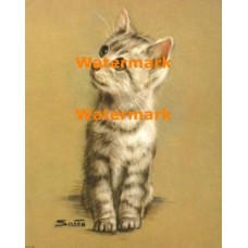 Kitten  - XBAN134  -  PRINT