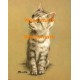 Kitten  - #XBAN134  -  PRINT