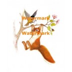 Tree Swing  - #XBAN954  -  PRINT