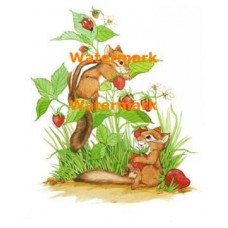 Strawberries!  - XBAN991  -  PRINT