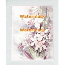 Springtime Daffodils  - #XAR1590  -  PRINT