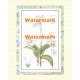 Botanical  - XAR2109  -  PRINT