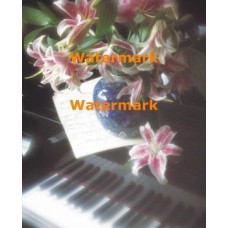 Floral Notes  - XAR2422  -  PRINT