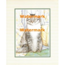 Tabby  - #XAR2618  -  PRINT