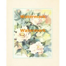 Peony Mist  - #XAR3167  -  PRINT