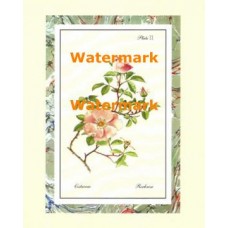 Botanical Flowers II  - XAR3224  -  PRINT