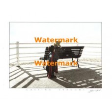 Casting Shadows  - XAR3606  -  PRINT