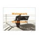 Casting Shadows  - XAR3606  -  PRINT