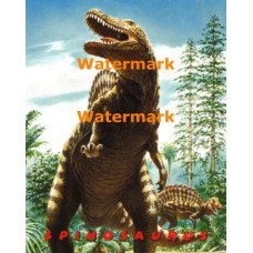 Spinosaurus  - #XAR5306  -  PRINT