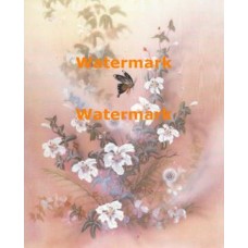 Butterfly  - XAR648  -  PRINT