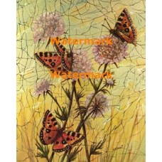 Butterflies  - XBBF60  -  PRINT