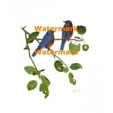 Birds on Branch  - XBBI-504  -  PRINT