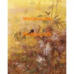 Birds in Field  - XBBI-578  -  PRINT