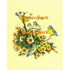 Family  - XBBI-599  -  PRINT