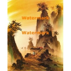 Nature Walk  - #XBCH107  -  PRINT