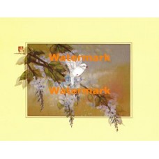 Delicate Branch  - XBCH191  -  PRINT