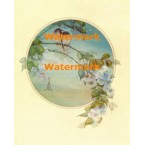 Two Birds  - #XBCH252  -  PRINT