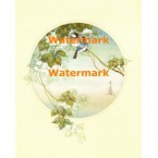 Two Birds  - XBCH253  -  PRINT