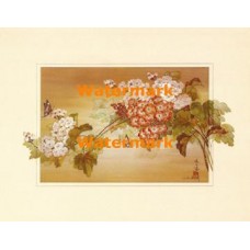 Butterflies and Flowers  - XBCH317  -  PRINT