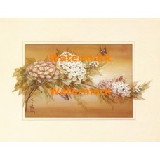 Butterflies and Flowers  - XBCH318  -  PRINT