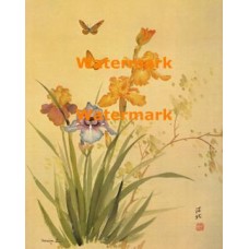 Irises  - XBCH332  -  PRINT