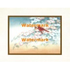 Cardinals  - XBCH376  -  PRINT