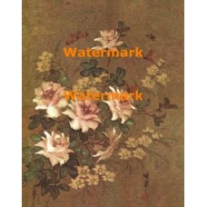 Delicate Roses  - XBCH86  -  PRINT