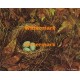 Nest  - XBDEC89  -  PRINT