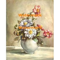 Scabiosa  - #XBFL15  -  PRINT
