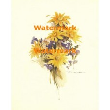 Delicate Flowers  - XBFL1595  -  PRINT