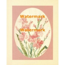 Pinks  - #XBFL1811  -  PRINT