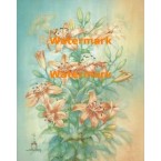 Lilies  - XBFL1909  -  PRINT
