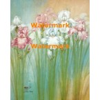Irises  - XBFL1912  -  PRINT