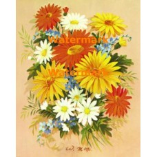 Flowers  - XBFL628  -  PRINT