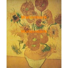 Sunflowers  - XBMC22  -  PRINT