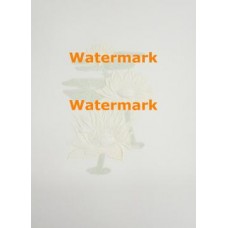 Water Lilies  - #XRA1822  -  EMBOSSED PRINT