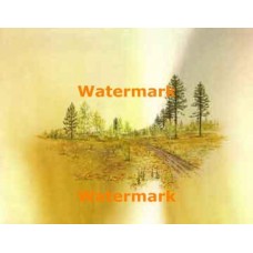 Big Sky Meadow  - XD9388  -  PRINT