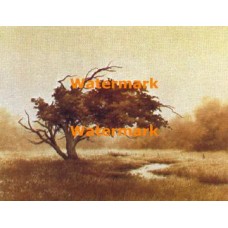 Field Marker  - XD9481  -  PRINT
