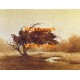 Field Marker  - XD9481  -  PRINT