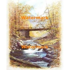 the New Bridge  - #XD9491  -  PRINT