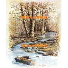 Autumn Stream  - XD9492  -  PRINT