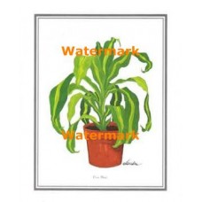1.  Corn Plant  - #XKFL9327  -  PRINT