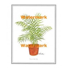 1.  Neanthe Bella Palm  - #XKFL9329  -  PRINT