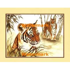 Tiger  - #XKFL9553  -  PRINT