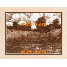 Farm Sheds  - #XKFL9733  -  PRINT