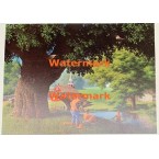 Swimming Hole  - XD5719  -  PRINT