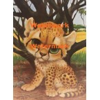 Leopard Cub  - XD6724  -  PRINT