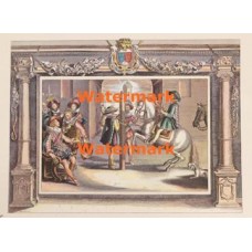 Knights  - XD7359  -  PRINT